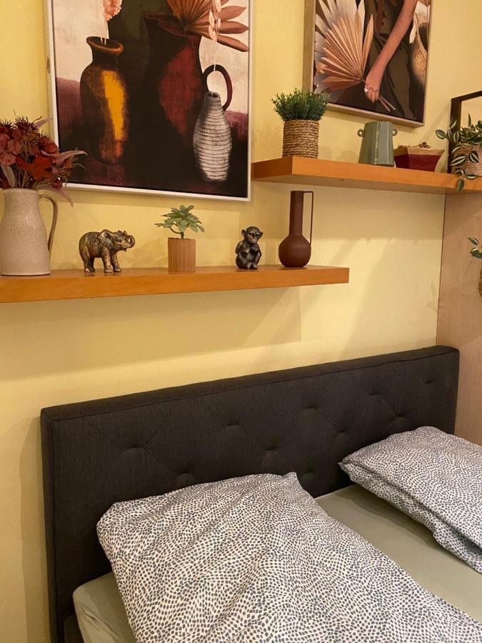 Apartman Jungle Story By Millenaris Park With Free Parking Budapest